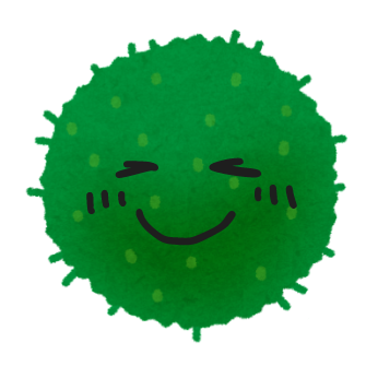 marimo